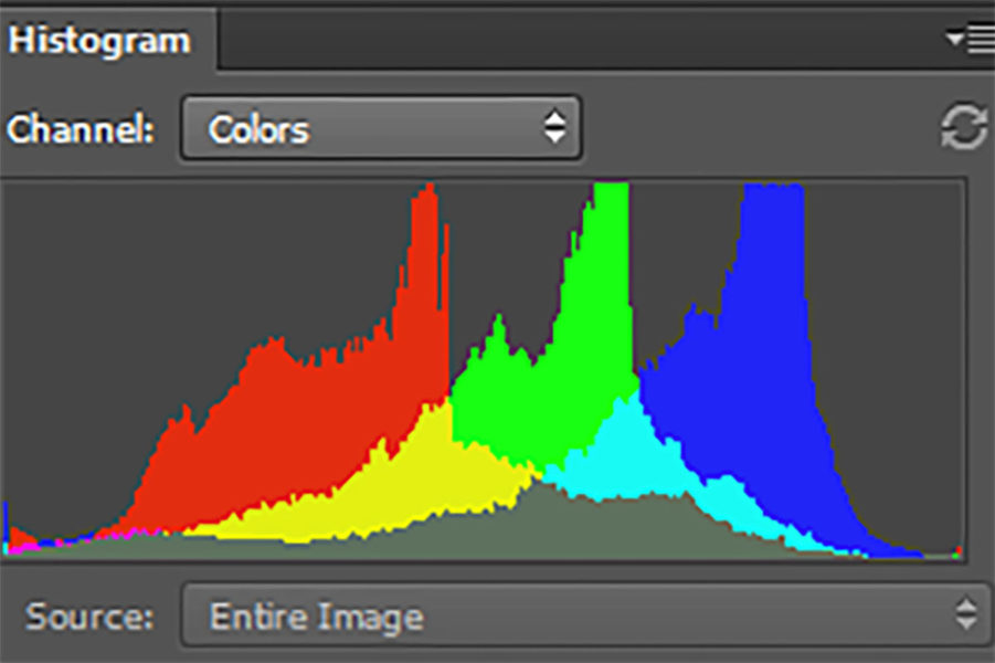 Colors RGB Histogram Of An Image Of A Bird