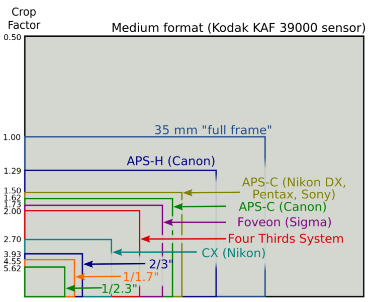 Canon, Nikon,Sony, Pentax, Panasonic sensor size comparison chart