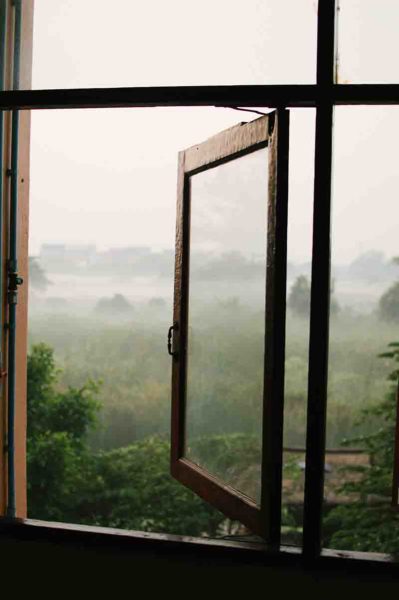 wooden window with a lush green field and trees in the distance