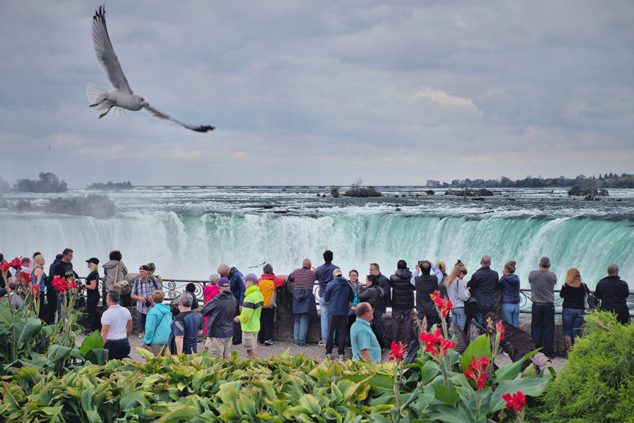 Tourist standing in front of the Niagra Falls