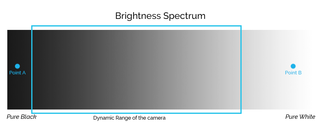 Brightness point of a black and white image projected on the brightness spectrum to demonstrate the Dynamic Range of the camera
