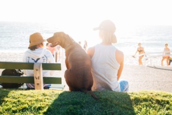 Woman sitting next to a black dog at the beach on a sunny day